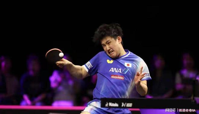 开云体育下载-波兰队绝杀中国队，张本智和刷新纪录