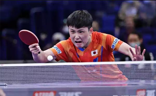 波兰队绝杀中国队，张本智和刷新纪录