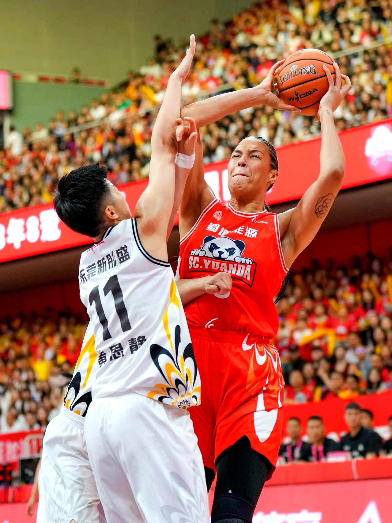 四川队力克鹈鹕，塔图姆点燃赛场