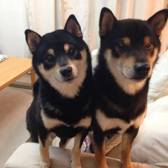 无名之辈终结豪门，当霍勒迪将球送入篮网，整个NBA都屏住了呼吸