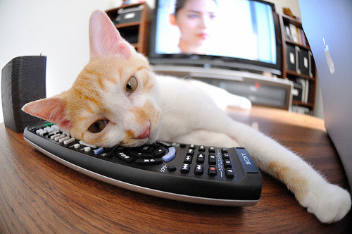 球探战争，美加墨世界杯上，多特蒙德如何收割喀麦隆足球的明天