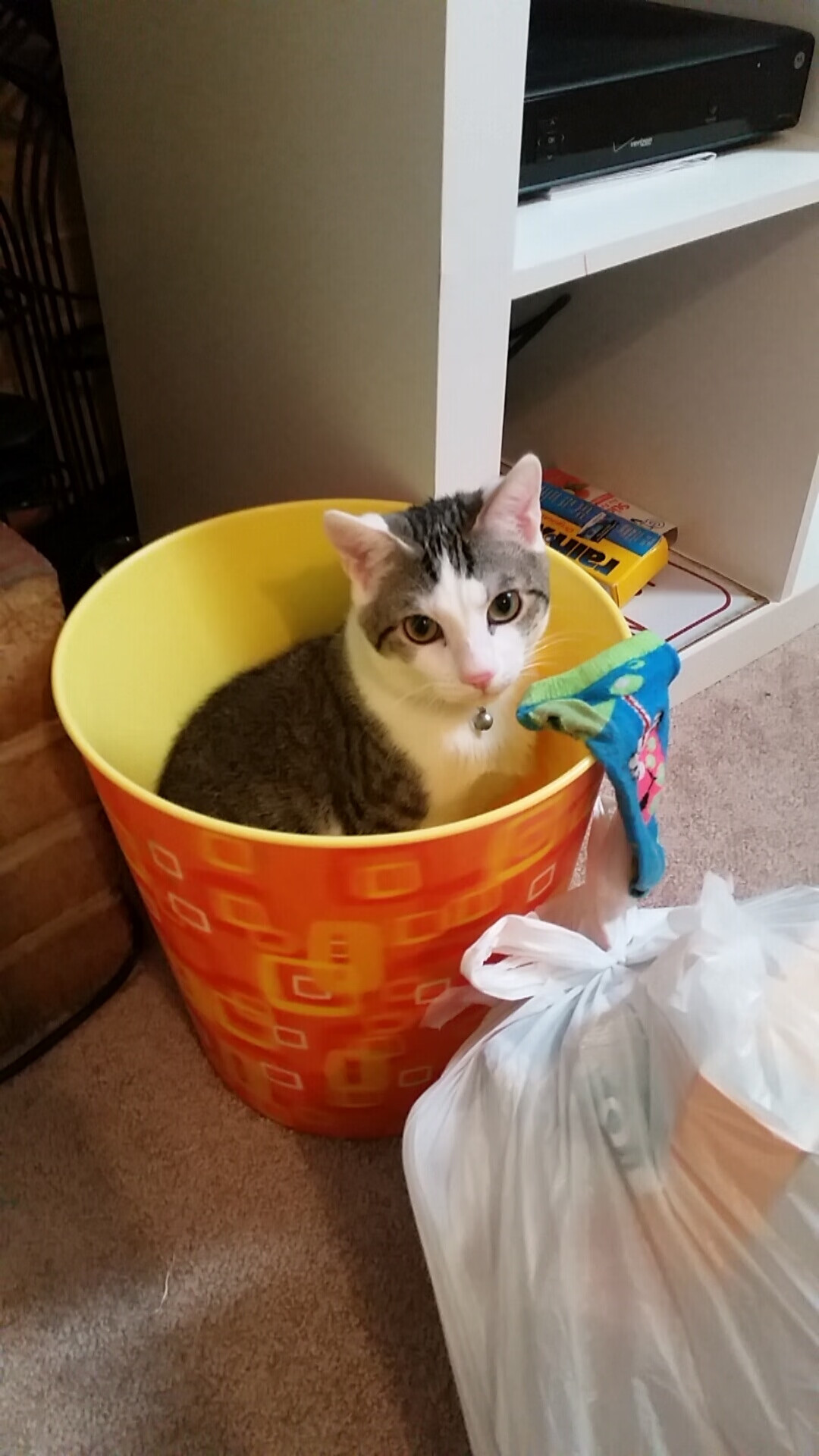 狂野西部与倔强东部，当保罗刺破宿命，尼克斯重铸铁血