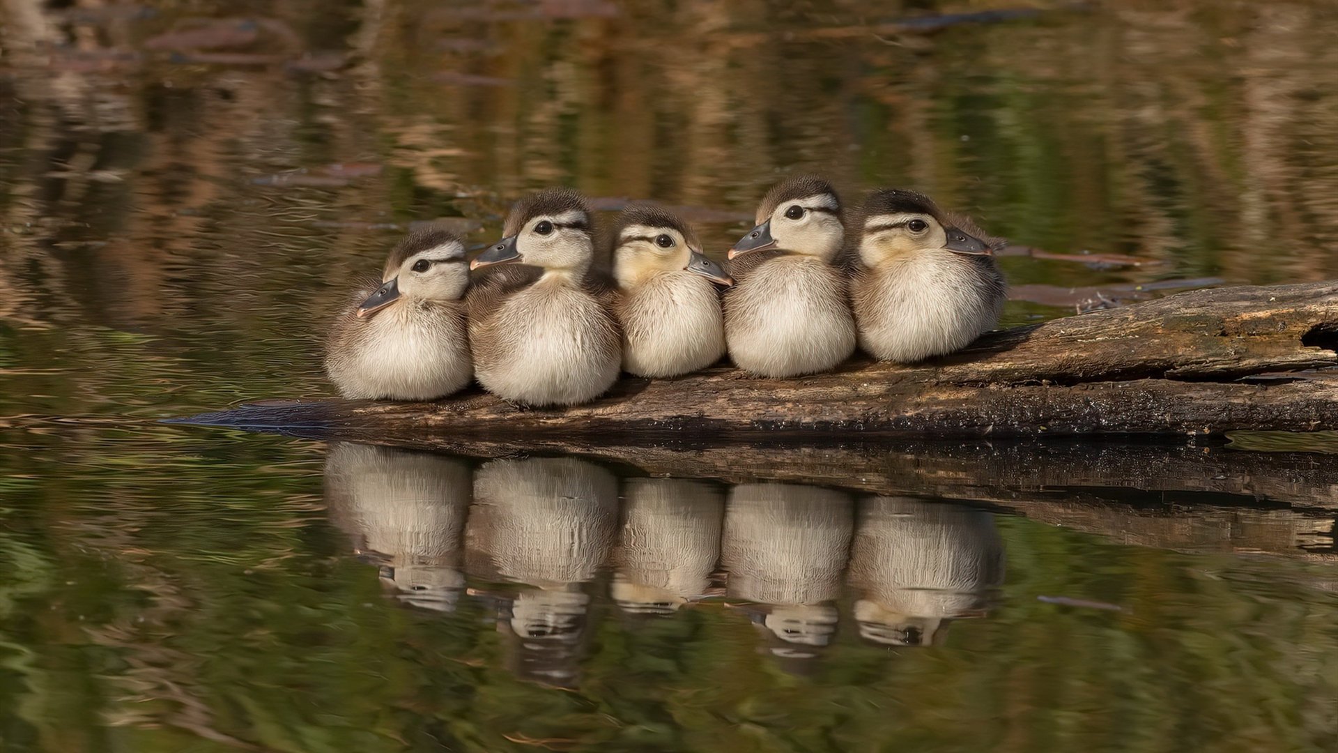 万籁俱寂，唯他轰鸣