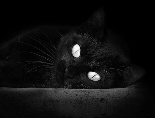 跨界巅峰对决，凯尔特人在NBA总决赛焦点战中轻取吉林队