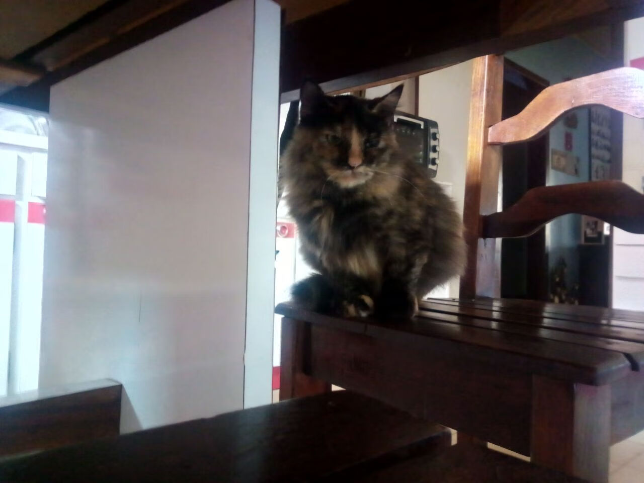 内马尔,巴黎之弦上的勒沃库森挽歌