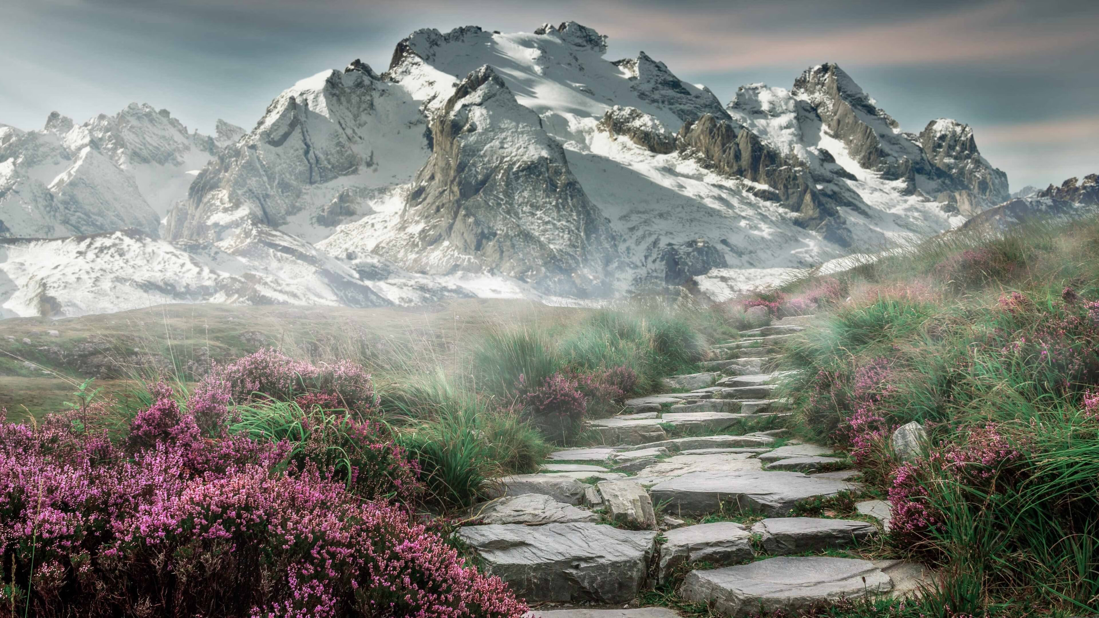 骑士笑傲布鲁克林，浓眉成破局关键先生