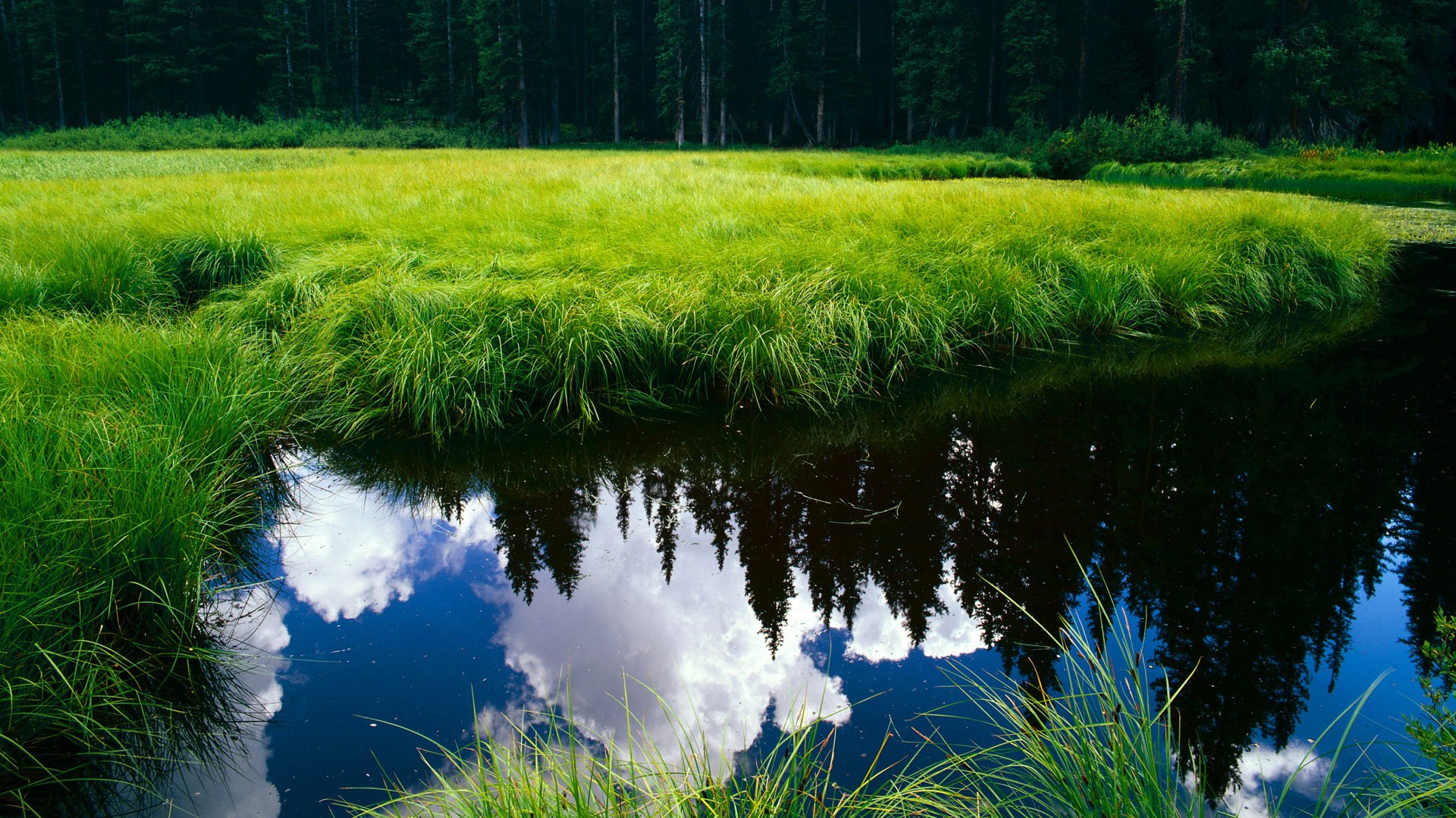 北京队完胜尼克斯,戈贝尔如何成为扭转乾坤的关键先生?