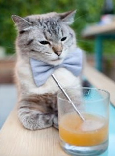 开云体育在线-北欧风暴席卷美利坚,挪威惊天颠覆欧洲红魔,2026世界杯上演童话序章